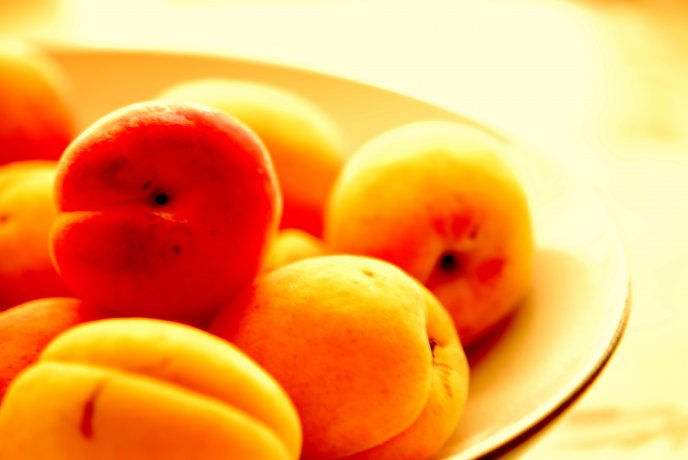 Plate full with peaches - summer fruit