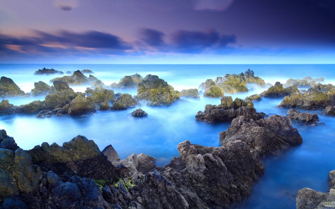 Fog among rocks on the island of Madeira - HD nature