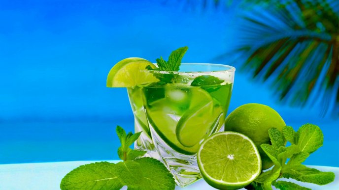 Fresh summer cocktail with lime and mint
