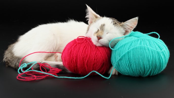 A sweet cat fell asleep on balls of thread
