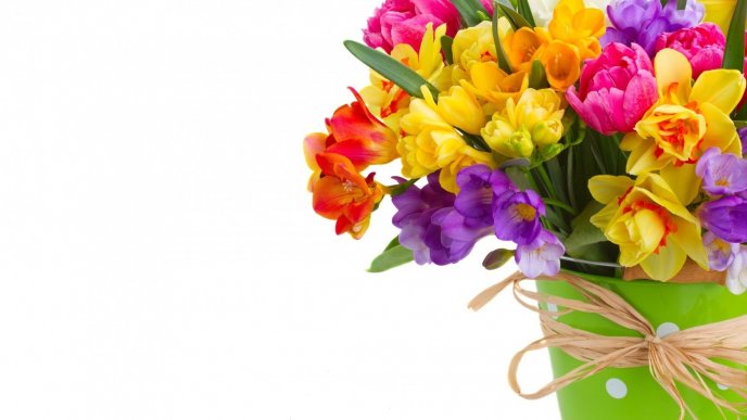 Colorful daffodils and freesias bouquet in a green vase
