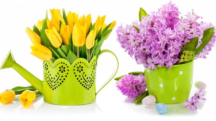 Yellow tulips in a watering can and purple lilac