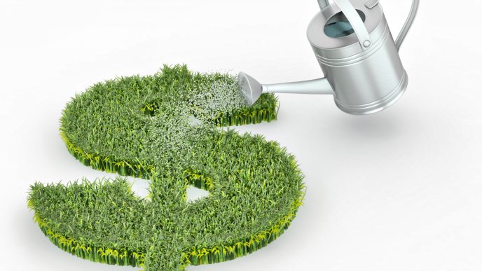 Dollar currency symbol made of grass - Eco dollar