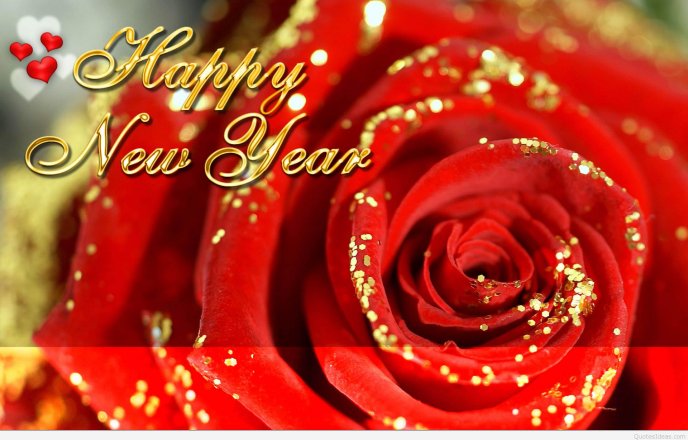 Red roses special for the New Year 2016