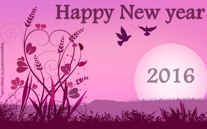Pink night - Happy New Year 2016