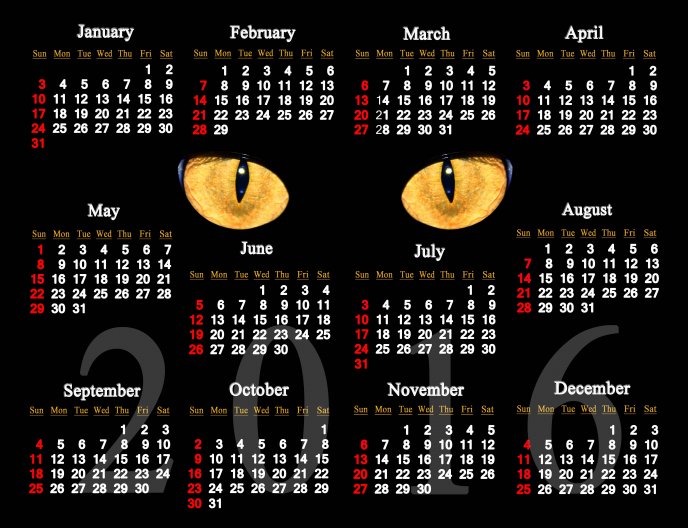 Dark cat - black calendar for 2016