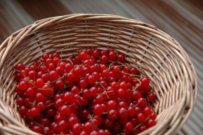 Delicious red currants in a basket - Vitamins