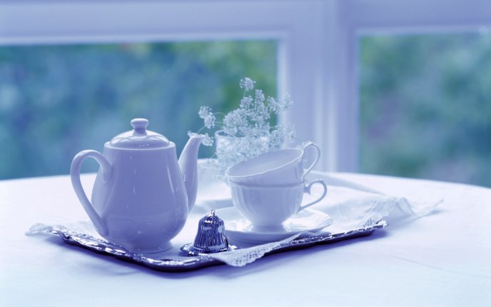 White morning with tea and flowers - HD wallpaper