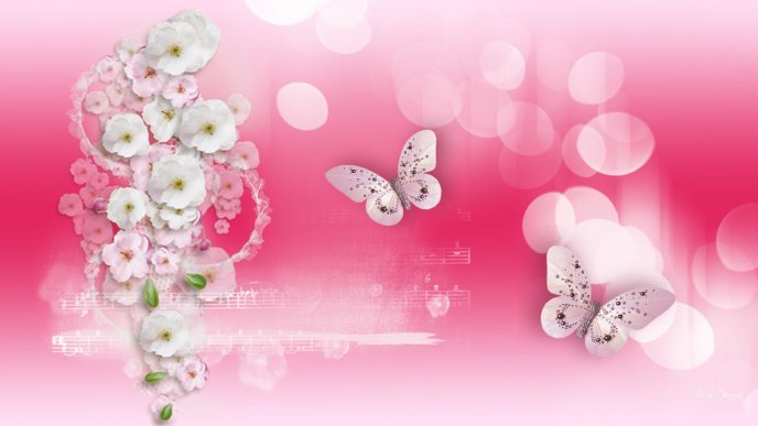 Butterfly dance on the music - HD pink wallpaper