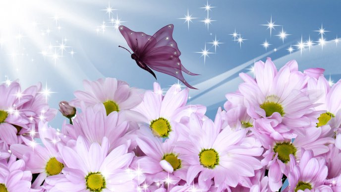Beautiful purple butterfly and wonderful flowers