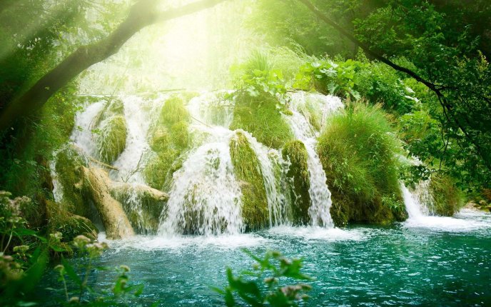 Refreshing water - wonderful waterfall in the Tropics