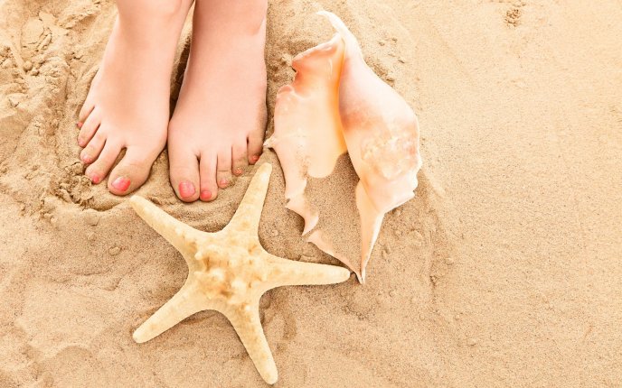 Feet in the hot summer sand and beautiful shells