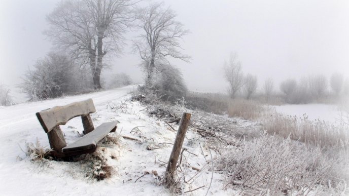Fog over the white nature - Winter season