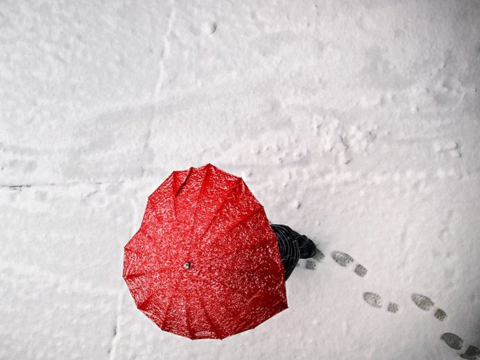 Umbrella love in the winter season - Happy Valentines Day