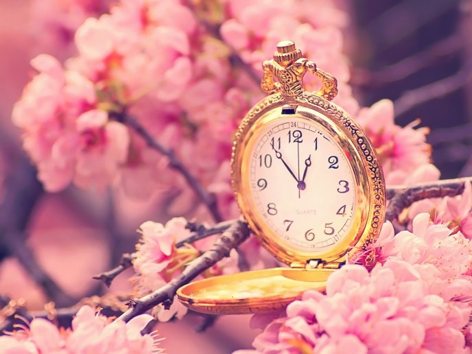 Wonderful old clock in a blossom tree - HD wallpaper