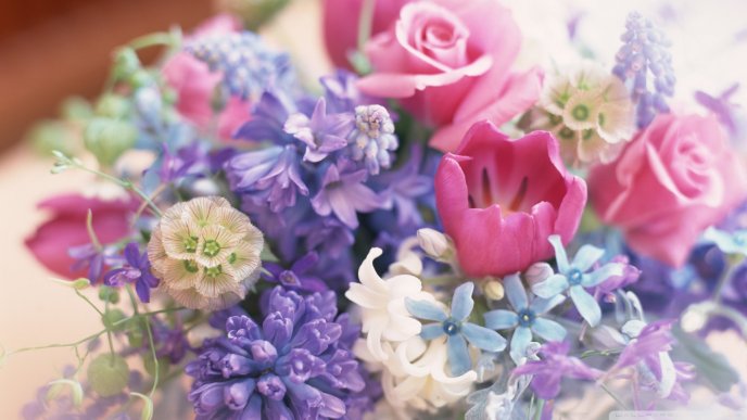 Colorful spring bouquet - Sweet perfume of flowers