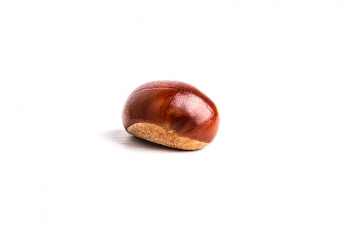 One big chestnut on a white background - HD wallpaper