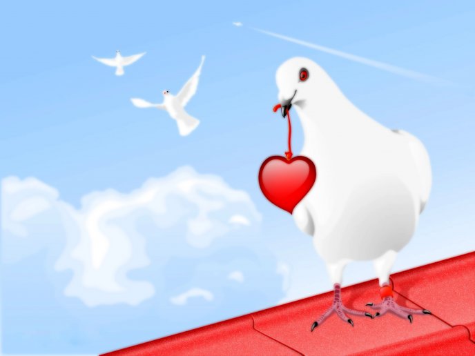 White dove with a red heart - Happy Valentines Day