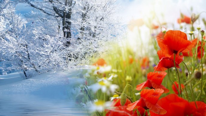 Cold winter and colorful spring - Two wonderful seasons
