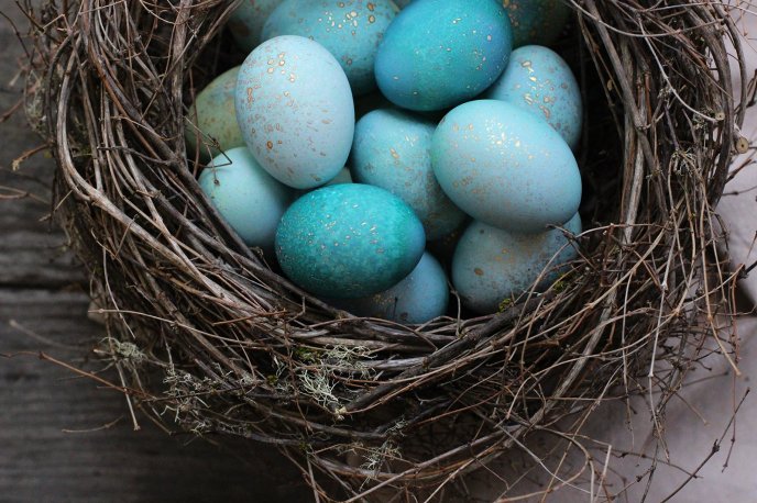 Wonderful blue Easter eggs in a bird nest - Happy Holiday