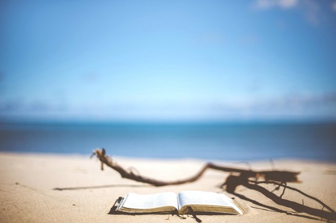 Read a book and stay relax on the beach - Happy Summer time