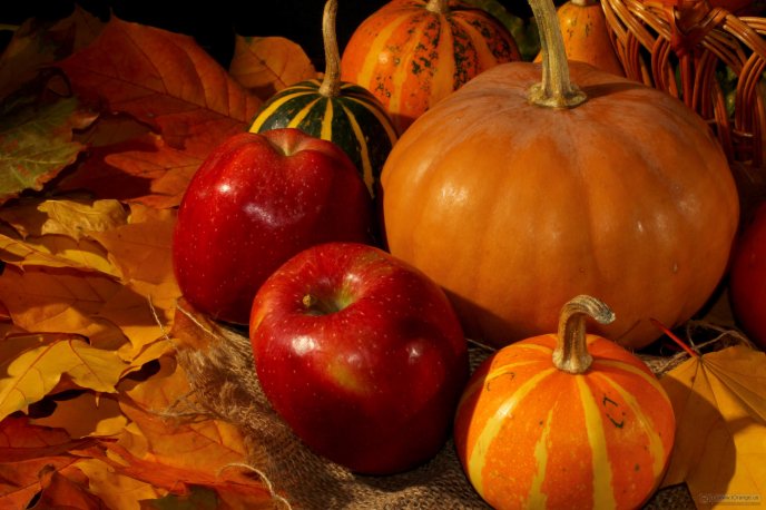 Autumn colors and fruits - Apples and pumpkins