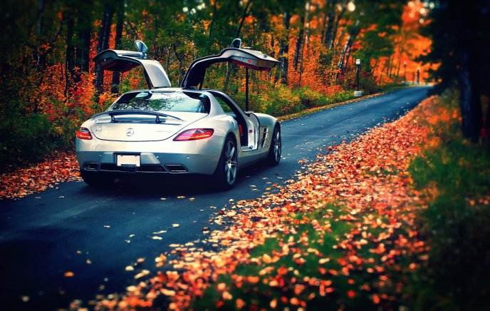 Wonderful Mercedes car luxury - Autumn leaves on the road