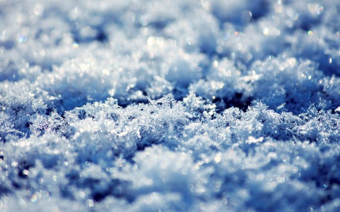 Frozen snow - Professional photo in winter season