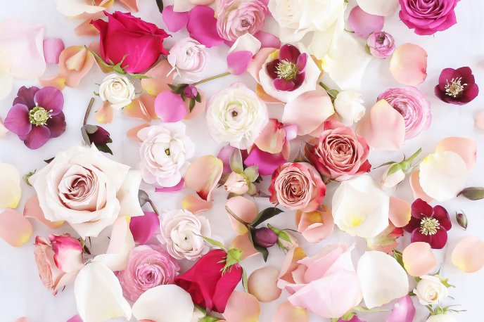 Fresh flowers on a background - February love month