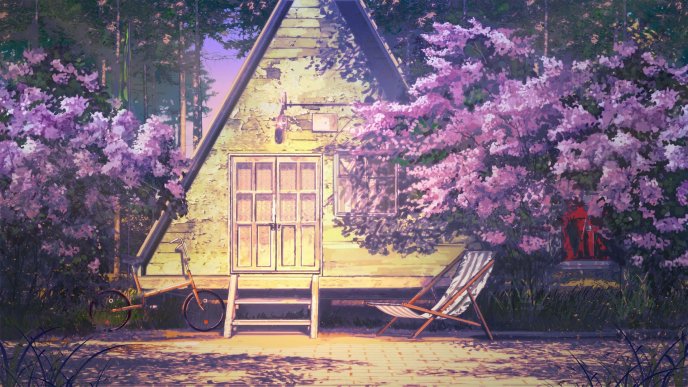 Small wooden house - Wonderful purple flowers