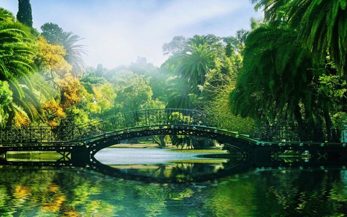 Iron bridge in a tropical park - Spring sunny day