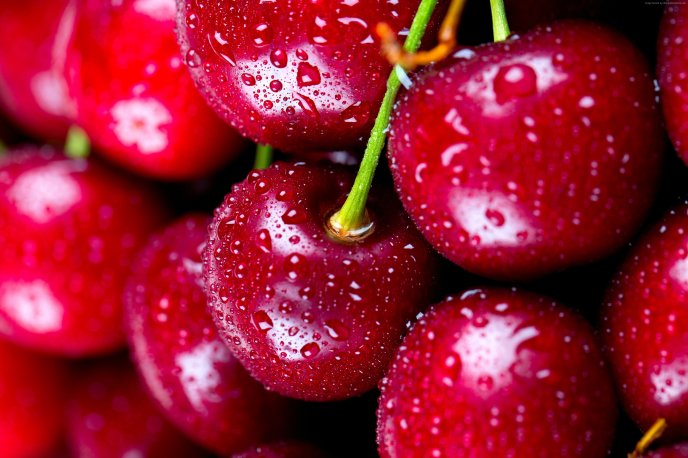 Macro water drops on a delicious cherries