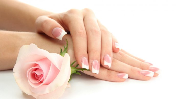 French nails and a beautiful pink rose - HD wallpaper