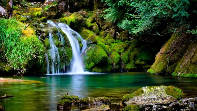 Magic waterfall and wonderful nature wallpaper