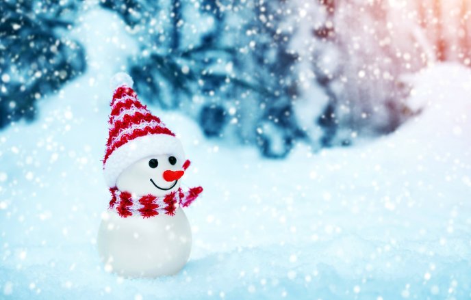 Sweet little snowman - Red scarf and hat - Winter season
