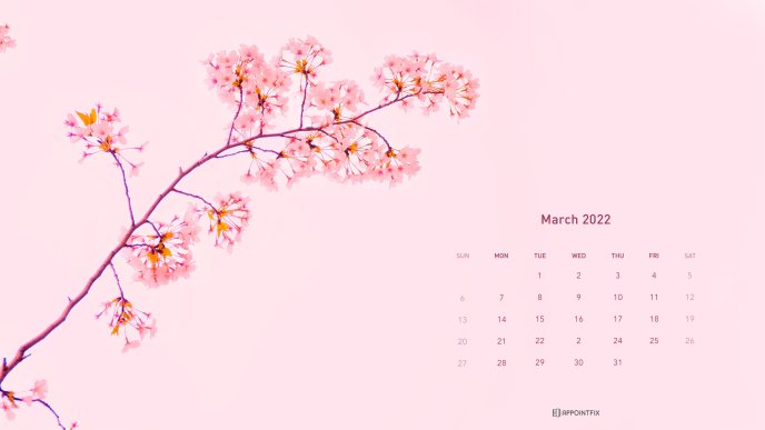 Cherry tree branch in blossom - March 2022 pink calendar