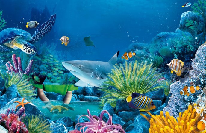 Aquarium - Beautiful fishes and sharks under water