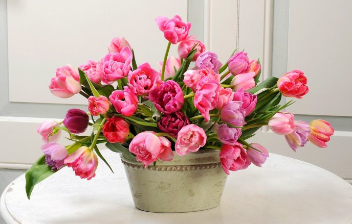 Wonderful bouquet of pink tulips - HD spring flowers