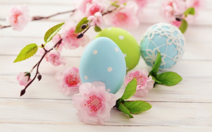 Japan Cherry flower tree - Easter eggs Happy holiday