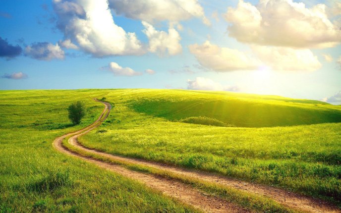 Road to the beautiful nature - HD wallpaper time