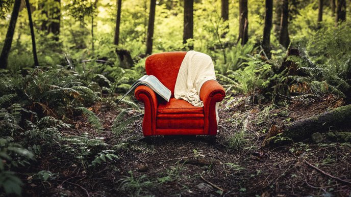 Perfect place for read a book - red sofa in the forest