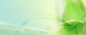 Abstract green flower HD wallpaper