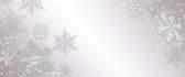 Beautiful snowflakes on a gray wall - HD wallpaper