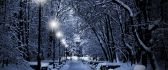 White lights illuminate the snowy park alley