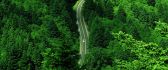 Green nature - beautiful road through forest