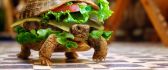 Delicious sandwich - funny turtle - abstract HD wallpaper