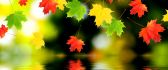 Artistic autumn wallpaper - leaves in the mirror