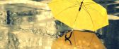 Yellow umbrella on the road - Rainy day