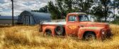 Old orange truck in the middle on the wheat