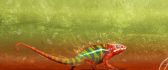 Colorful great chameleon - Reptiles wallpaper